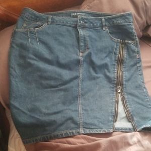 Lane Bryant skirt